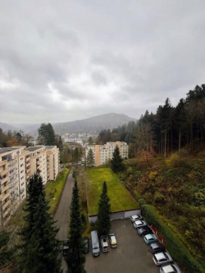 Panorama-Perle Bad Herrenalb